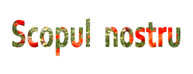 Scopul nostru